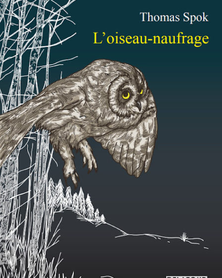 couverture du recueil L'oiseau-naufrage