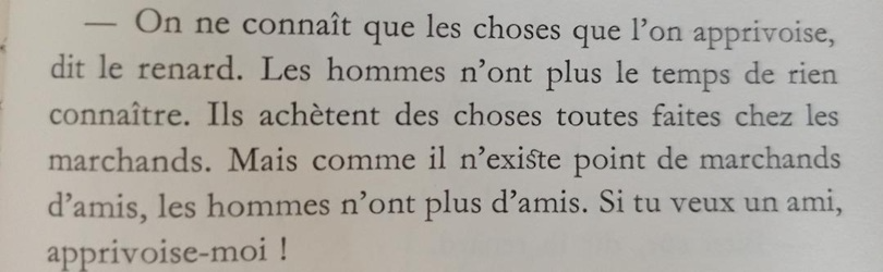On ne connaît que les choses que l'on apprivoise, dit le renard. Les hommes n'ont plus le temps de rien connaître. Ils achètent des choses toutes faites chez les marchands. Mais comme il n'existe point de marchands d'amis, les hommes n'ont plus d'amis. Si tu veux un ami, apprivoise-moi !