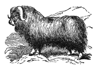 Anne Carson poème